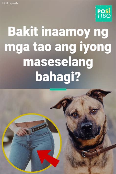 Bakit inaamoy ka ng mga aso pagkatapos makasama ang ibang .